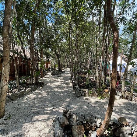 Bayou Tulum Luaran gambar