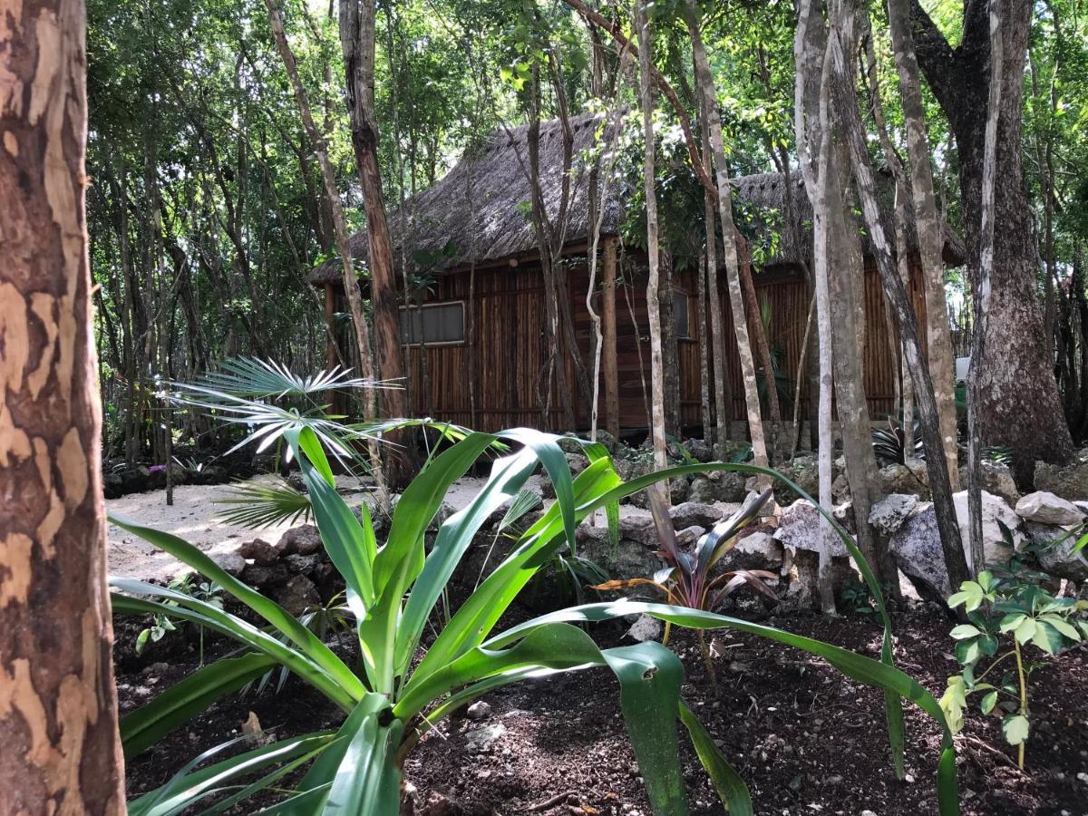 Bayou Tulum Luaran gambar