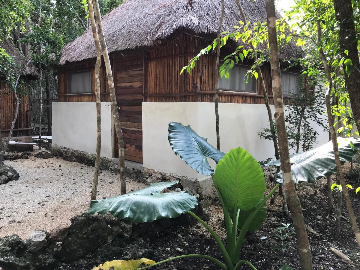 Bayou Tulum Luaran gambar
