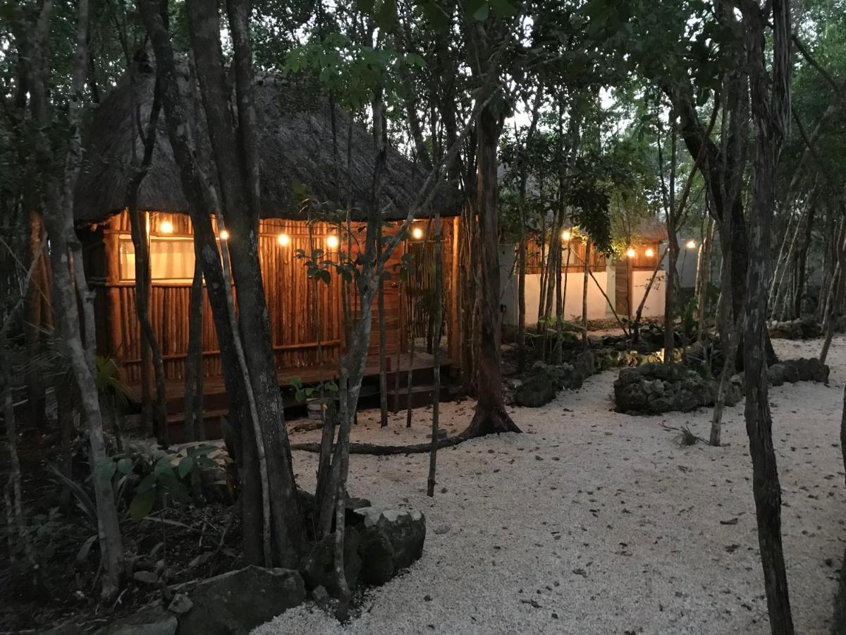 Bayou Tulum Luaran gambar